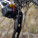 XTR Shadow Plus Derailleur