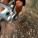 GoPro HD: Escape for Freedom