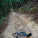 Reid Track
