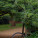 Castlemaine Botanical Garden