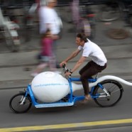 Giant Sperm Cycle