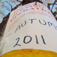 Autumn Burn