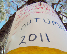 Autumn Burn