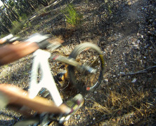Baco Trails