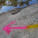 Arrows in the bush