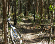Bridge Road Single Track