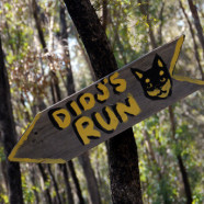Didj’s Run Open for Biz