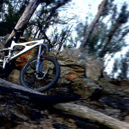 Fresh Trails