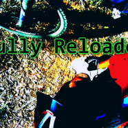 Gully Reloaded