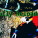 Gully Reloaded