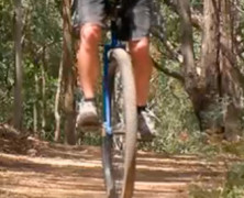 KH36 Afternoon MUNI Cruise, Wombat Forest