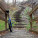 Winter Steps Challenge