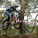 VicDH Series Maldon
