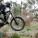 Mt Tarrengower MTB Fossils