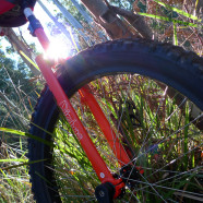 Babbington Hill Top Track