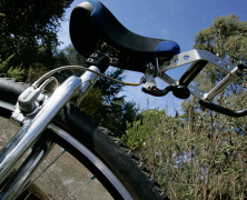 The XC GUNI Bar Project