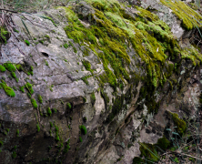 Water fall