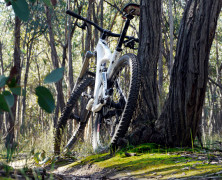 Walmer State Forest