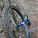 Wattle Flat 29′er