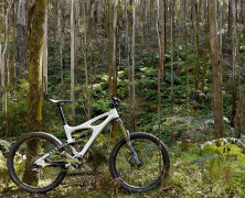 Wombat Off Peak
