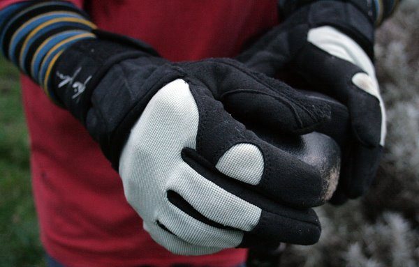 Read more about the article Kris Holm Gloves