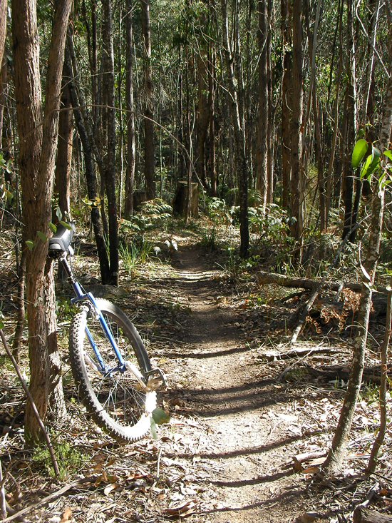 Bridge Road Single Track