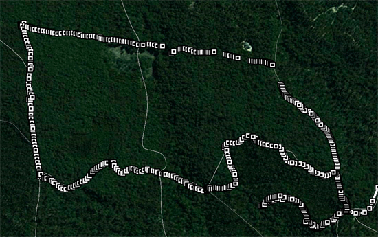 Ride Route, Wombat Forest