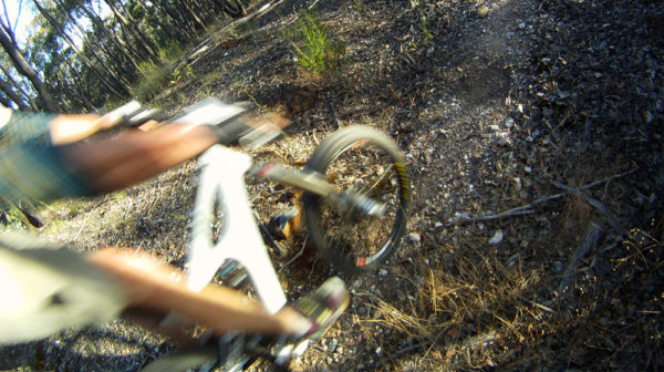 Read more about the article Baco Trails