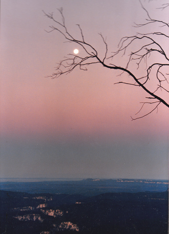 Moonrise over Carnarvon Gorge, Boolimba Bluff, 1988