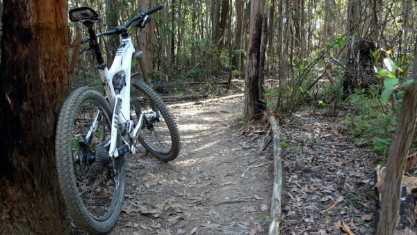Read more about the article Wombat Trail: Quest for the Vanilla Slice