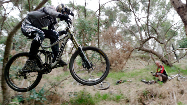 Read more about the article Mt Tarrengower MTB Fossils