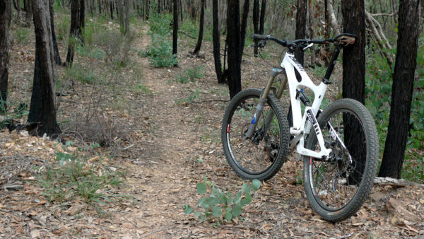 Read more about the article Celebrate the Ride