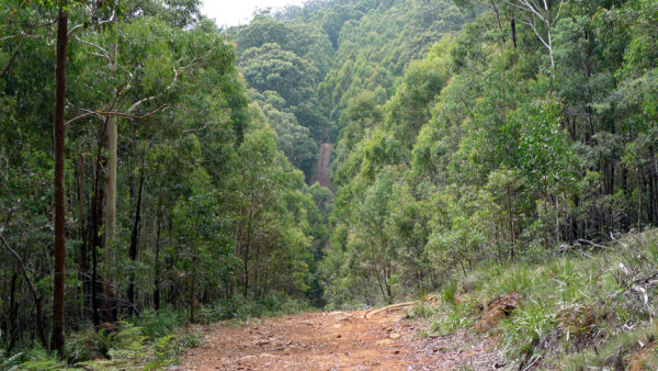 Read more about the article The Chute