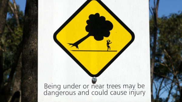 Read more about the article Fear Life