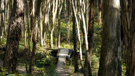 Wombat MTB Trail, Woodend