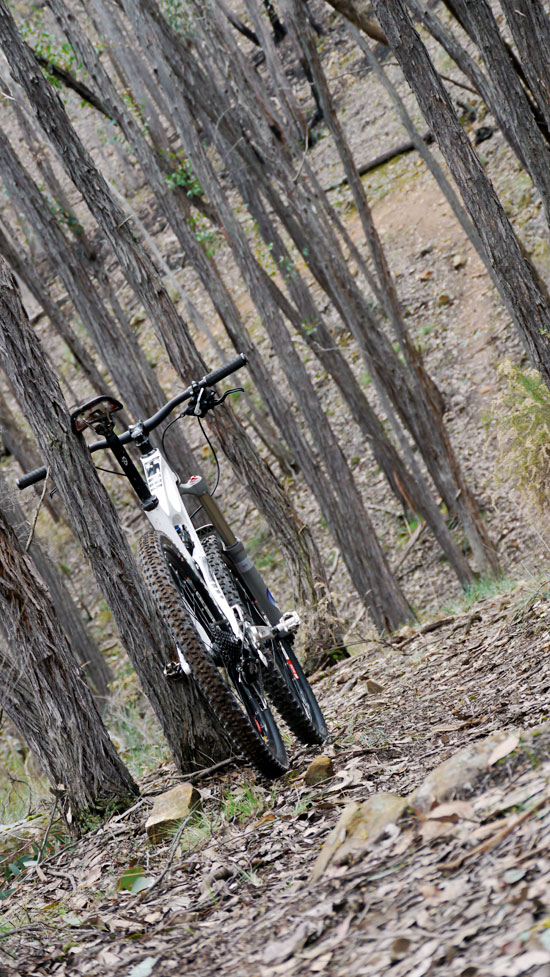 Ibis Mojo HD, Gully entry, Baco Trails Castlemaine