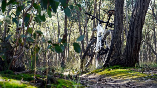 Interwinter XC Series, Baco Trails, Walmer State Forest, Castlemaine