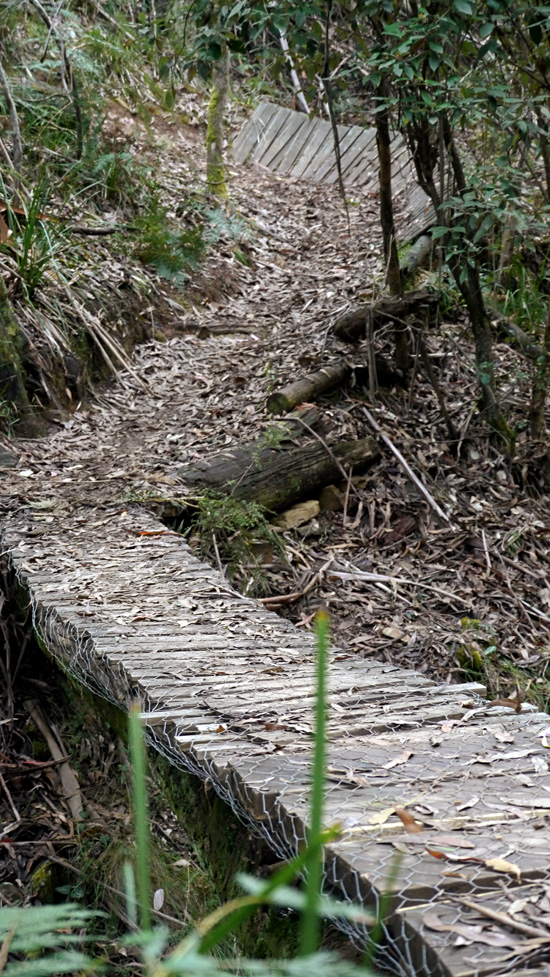Wombat Forest, Mountain Challenge MTB Enduro Series