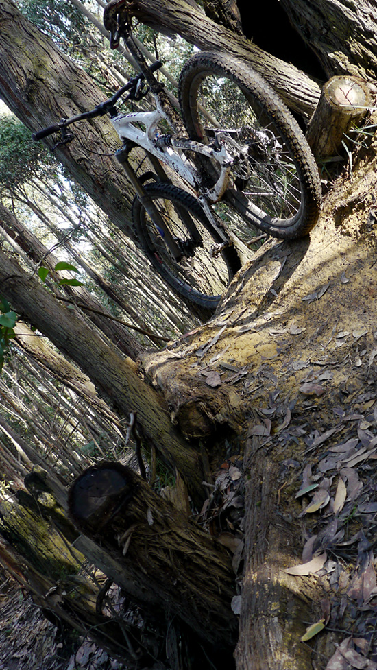 Wombat Forest, Mountain Challenge MTB Enduro Series