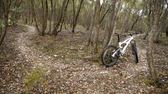 MTB Single track, Muckleford State Forest