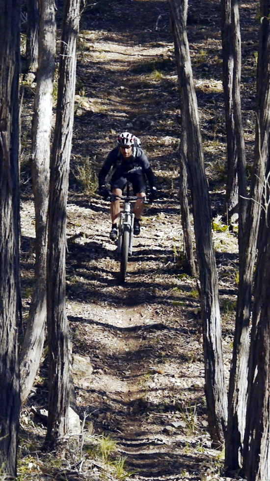 Patience and Glue, Mountain Biking Castlemaine