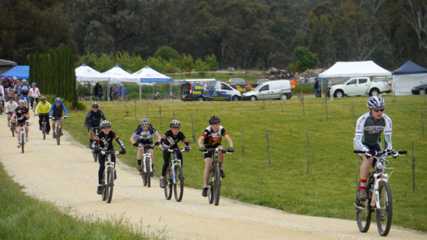 Read more about the article Tour de Vines Wrap