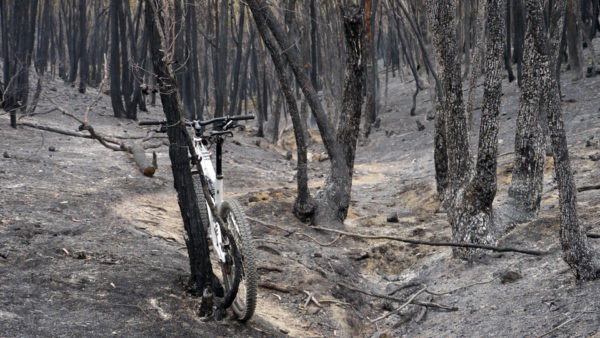 Read more about the article Fuel Reduction Burn