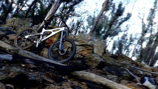 Read more about the article Fresh Trails