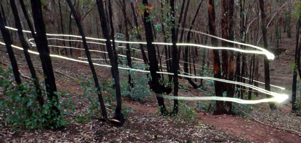 Read more about the article Trail Fairies