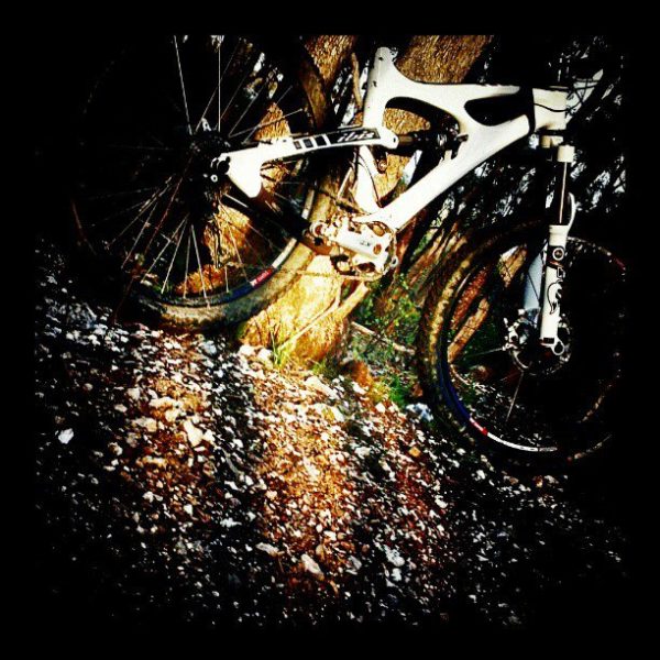 Read more about the article Rainy Daze