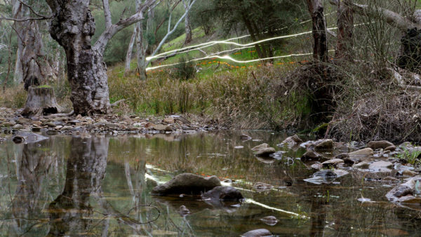 Read more about the article Weaving Camels Trail Melrose