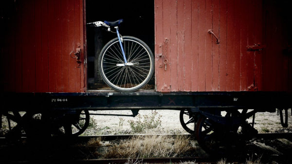 Read more about the article Start Train-ing