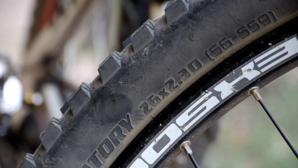 Read more about the article Specialized Purgatory Control 2.3 Review