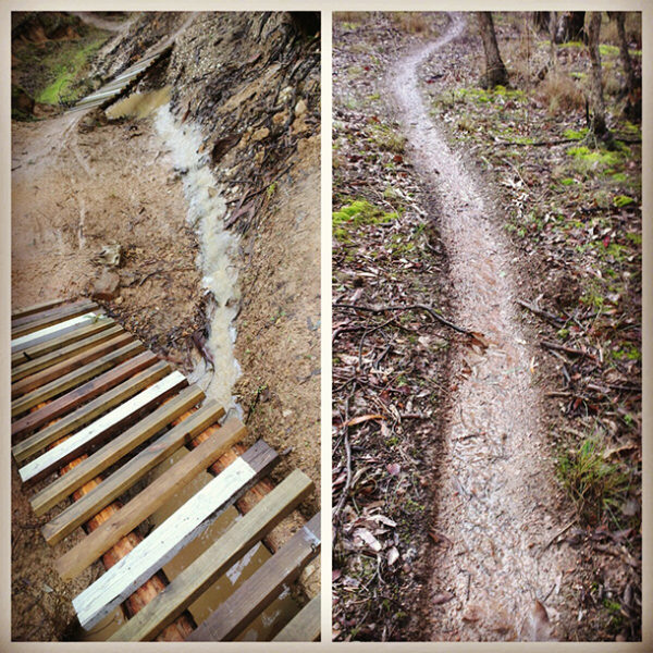 Read more about the article Drainage Day